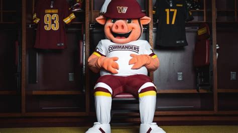 Meet Major Tuddy, the Washington Commanders’ New Mascot – NBC4 Washington