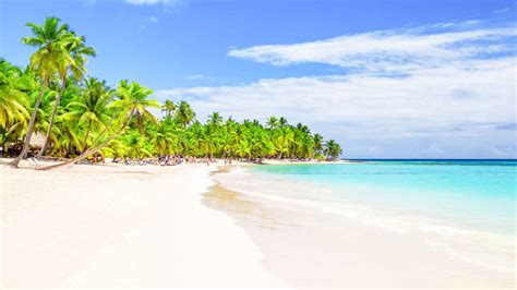 Macao Beach, Punta Cana - Book Tickets & Tours | GetYourGuide