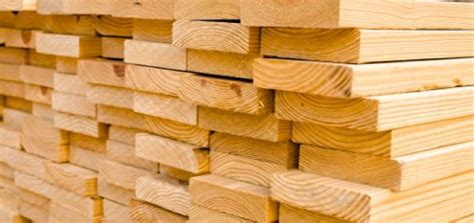 Terminology: Lumber vs. Timber — Eximius Engineering | Structural Engineers