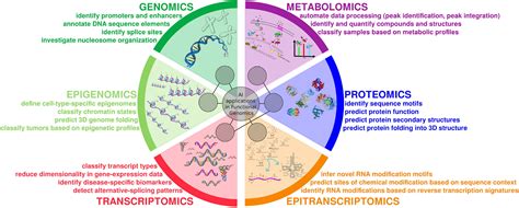 AI applications in functional genomics - Computational and Structural ...