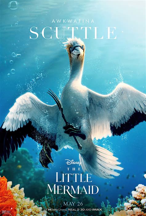 Why Scuttle Isn't A Seagull Anymore In "The Little Mermaid" Live-Action ...