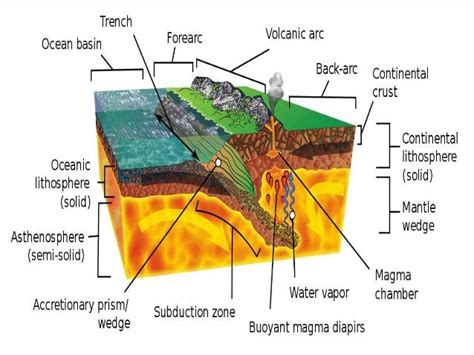 How Are Ocean Trenches Formed