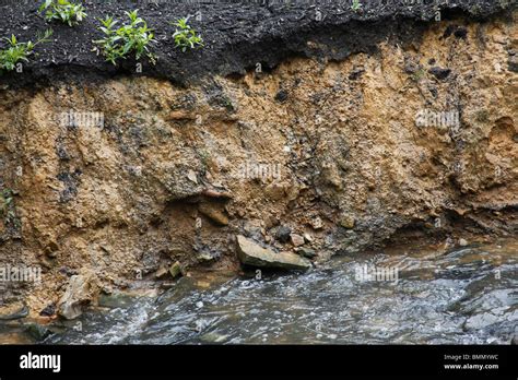 stream bank erosion causeed by variable water levels Stock Photo - Alamy