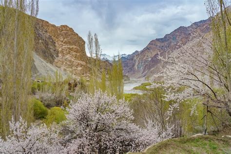 Premium Photo | A panoramic view of the turtuk valley and the shyok river.