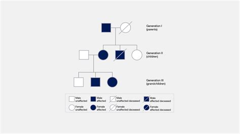 Family Pedigree Chart