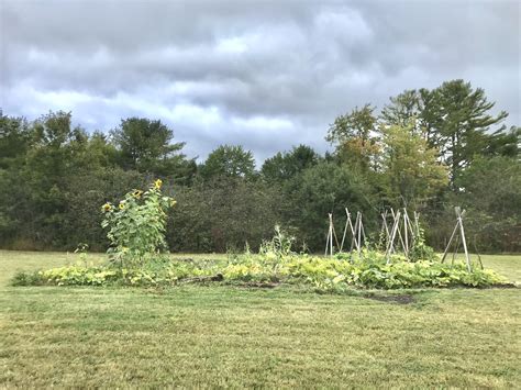 Gardening Zone 6a in Coastal Maine and I'm Getting Anxious