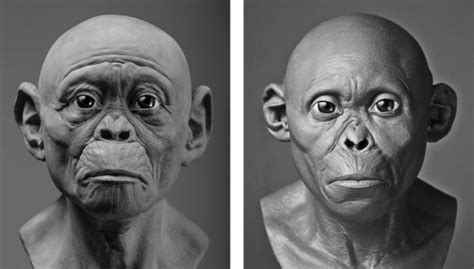 New depictions of ancient hominids aim to overcome artistic biases ...