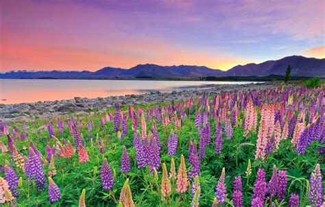 Lake Tekapo Wallpapers - Wallpaper Cave