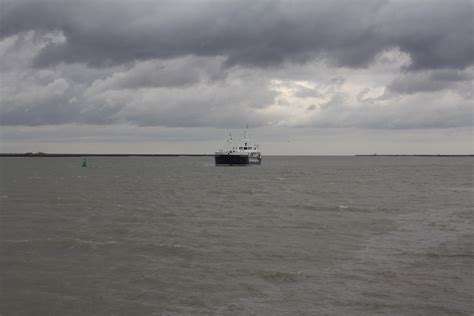 Crossrail - Wallasea Island Nature Reserve in progress