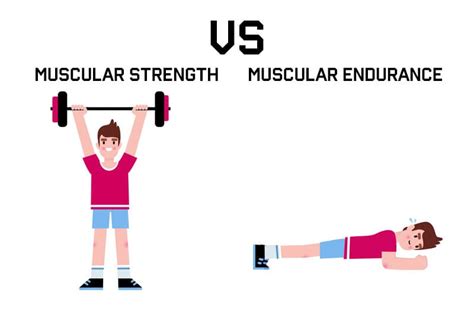 Muscular Endurance VS Muscular Strength