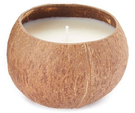 Coconut Shell Candle - Big Lots | Shell candles, Coconut shell candle ...