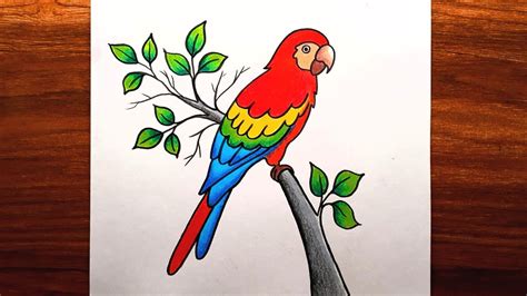 Share more than 163 parrot outline drawing latest - seven.edu.vn