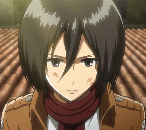 mikasa ackerman - Attack on Titan Photo (37729820) - Fanpop