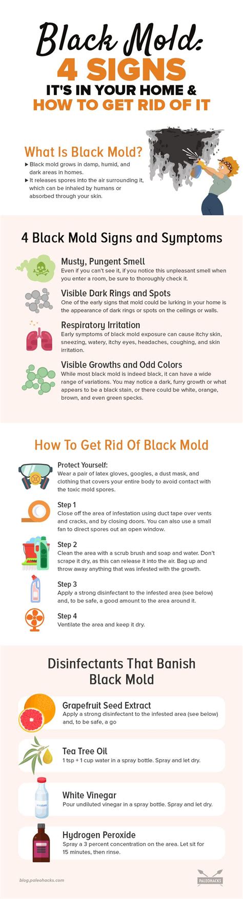 4 Signs Your Home Has Toxic Black Mold & How to Get Rid of It | Toxic ...