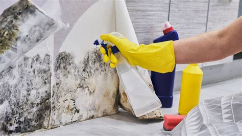 Mold Cleaning Services Near Me | Armor Restoration