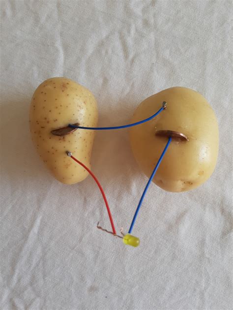 How to make a Potato Powered Light - Science for Kids — Upstart Magazine