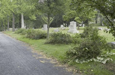 Greensboro, NC – Green Hill Cemetery – Project Evergreen