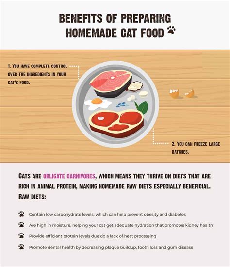 Homemade Cat Food: Benefits, Tips & How to Get Started | RAWZ