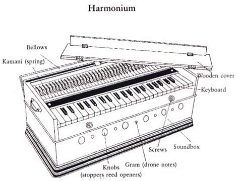 Harmonium - India Instruments