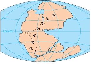 Gondwana Supercontinent Overview & Map - Lesson | Study.com