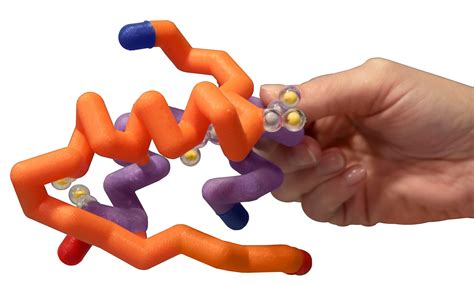 Insulin Model© – 3D Molecular Designs