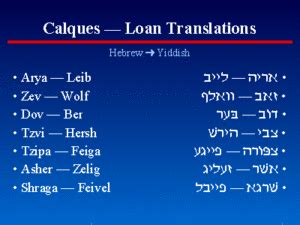 What Is Calque Or Loan Translation That You Should Know