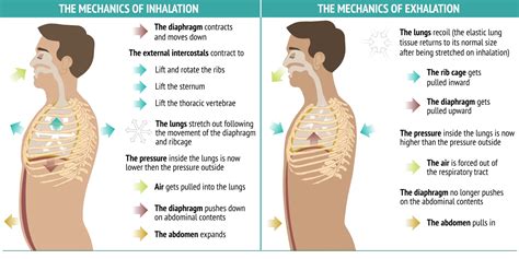 Ride the Breath Wave in Yoga - YogaUOnline