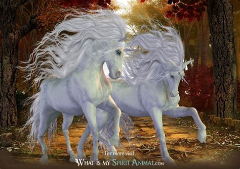 Unicorn Symbolism & Meaning | Unicorn Spirit, Totem, & Power Animal