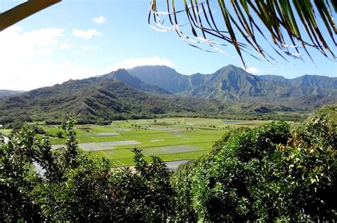 Hanalei Valley Lookout | Kauai.com