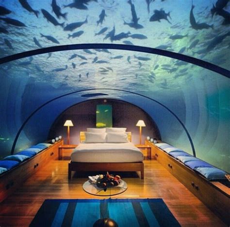 Under da sea | Underwater hotel room, Underwater bedroom, Underwater hotel