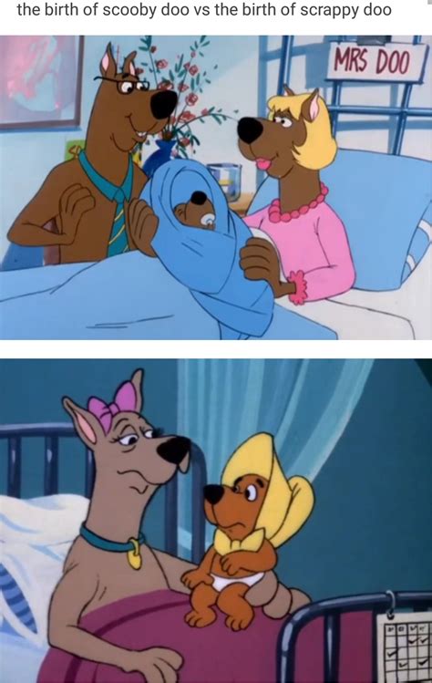 Welp, this explains a lot | Scooby-Doo | Scooby, Really funny memes ...