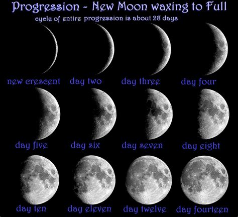 quarters of the moon graph - Yahoo Image Search Results | Moon, New ...