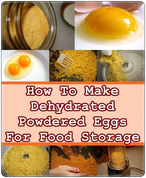 How To Make Dehydrated Powdered Eggs For Food Storage | The Homestead ...