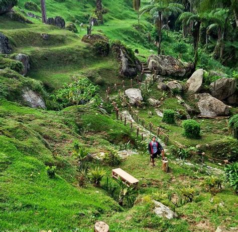 Bukit Larut: Hidden Gem With Cool Weather Like Cameron Highlands