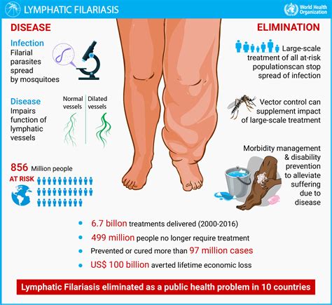 Lymphatic Filariasis- Static Facts, Recent News & WHO’s Response