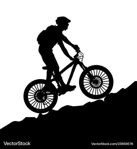 A bicycle riding bike Royalty Free Vector Image