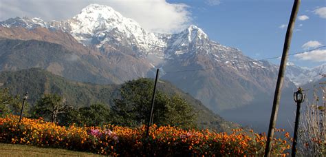 Annapurna Highlights & Wildlife | PaliGhar Experiences