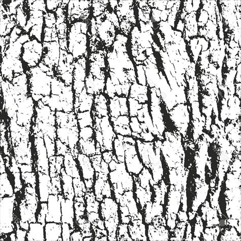 Tree Texture Drawing Easy - Tree Bark Texture Drawing Vector Drawings ...