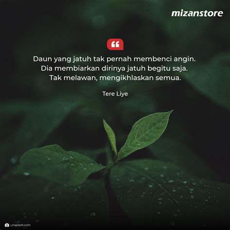 91+ Quotes Tere Liye Tentang Kamu