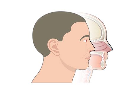 open respiratory system