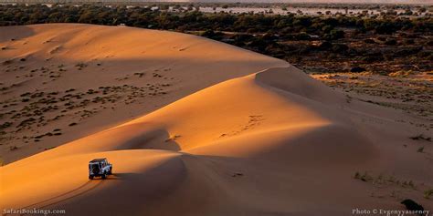 10 Interesting Namib Desert Facts – SafariBookings