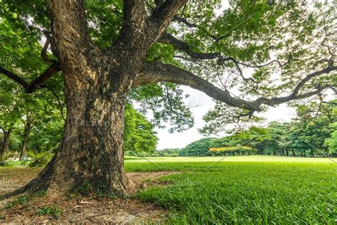 bench in beautiful public park #Sponsored , #paid, #beautiful#bench# ...