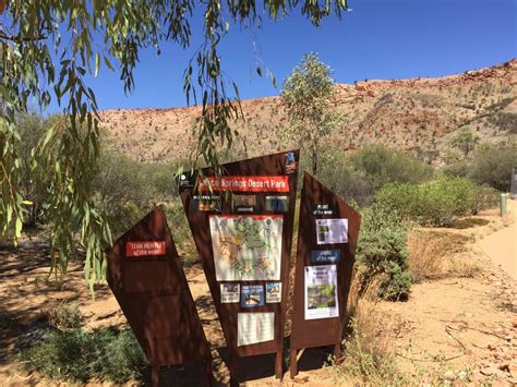 A Visit to the Alice Springs Desert Park - 5 Lost Together