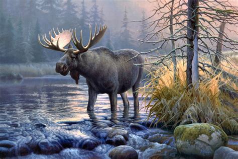 Moose Wallpapers - Wallpaper Cave