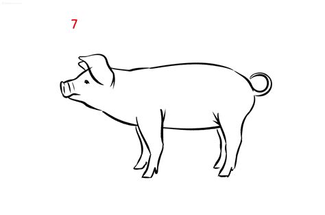 Pigs coloring pages » Free & Printable » Pig coloring sheets