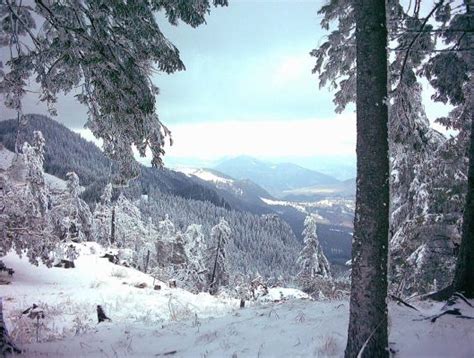 Bucovina (Bukovina) | Winter scenery, Romania, Scenery