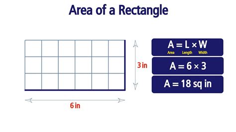 Area of a Rectangle. Grade 3 - YouTube