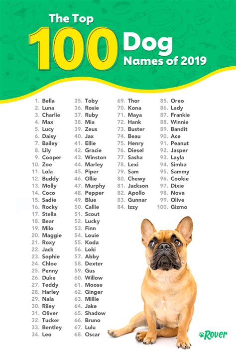 Most Popular Dog Names in the USA | Cute names for dogs, Dog names ...