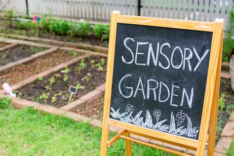 Plants and tips for creating a sensory garden - Kids Do Gardening