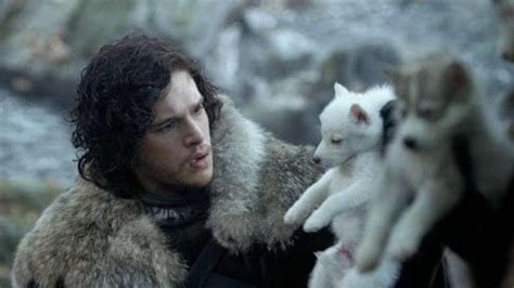 Jon Snow’s loyal direwolf Ghost to make a comeback on Game of Thrones ...